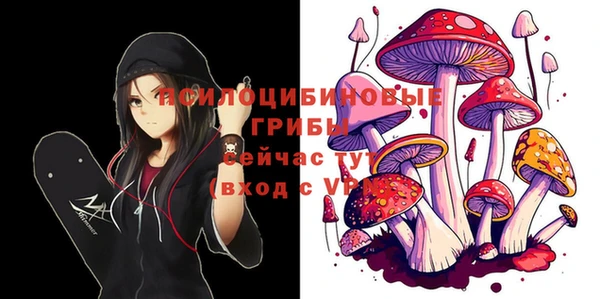 круглые Верея