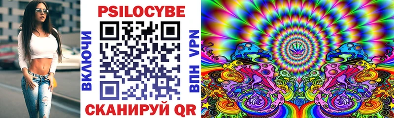 Галлюциногенные грибы Psilocybine cubensis  хочу   Щёлково 